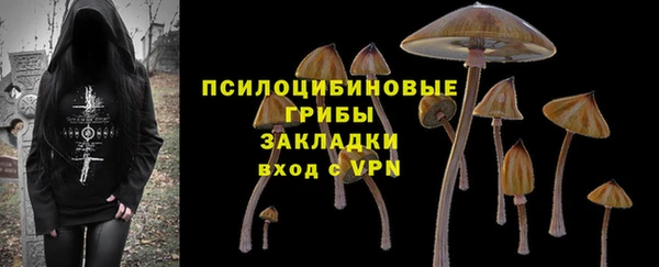 PSILOCYBIN Инта
