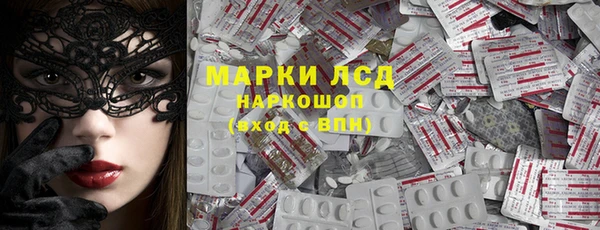 PSILOCYBIN Инта