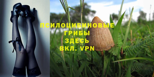 PSILOCYBIN Инта