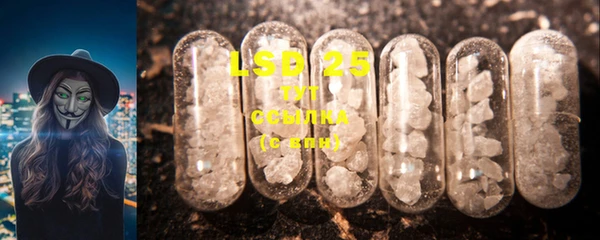 PSILOCYBIN Инта